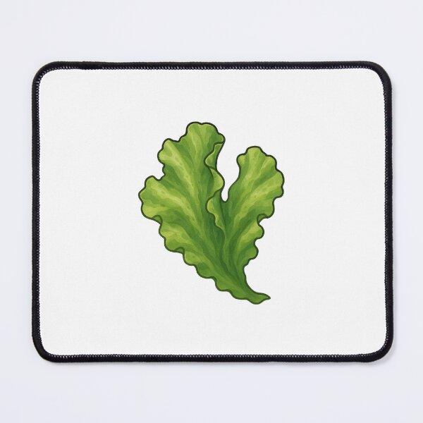 Item preview, Green Algae Sea Lettuce Illustration designed and sold by Vendeloc.