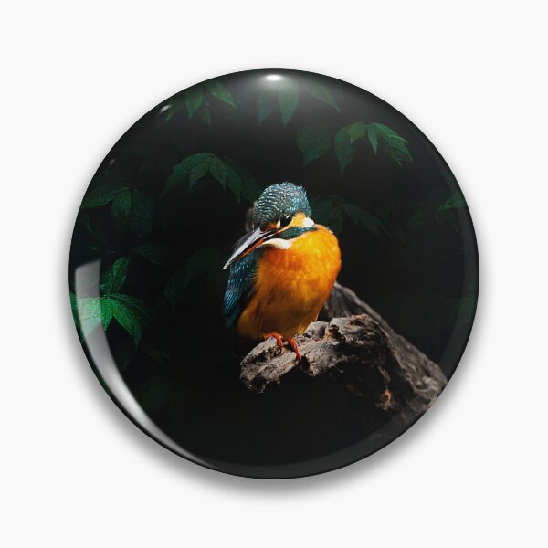 Item preview, A jewel of the forest, this vibrant kingfisher sat poised on a gnarled perch, its colors glowing like fire against the shadows. In that fleeting stillness, time stood still designed and sold by Prakruti prints.