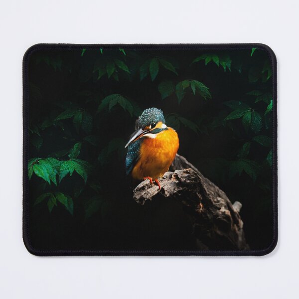 Item preview, A jewel of the forest, this vibrant kingfisher sat poised on a gnarled perch, its colors glowing like fire against the shadows. In that fleeting stillness, time stood still designed and sold by Prakruti prints.