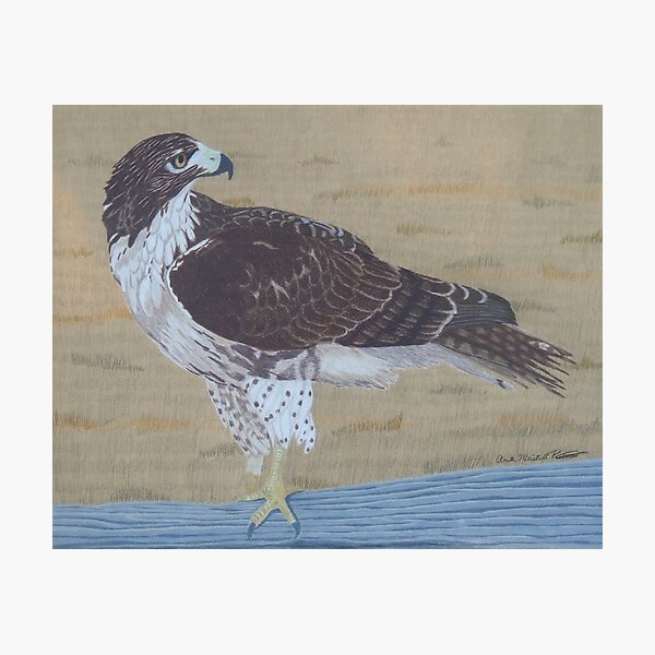 Item preview, The Sentinel designed and sold by Anita Putman.
