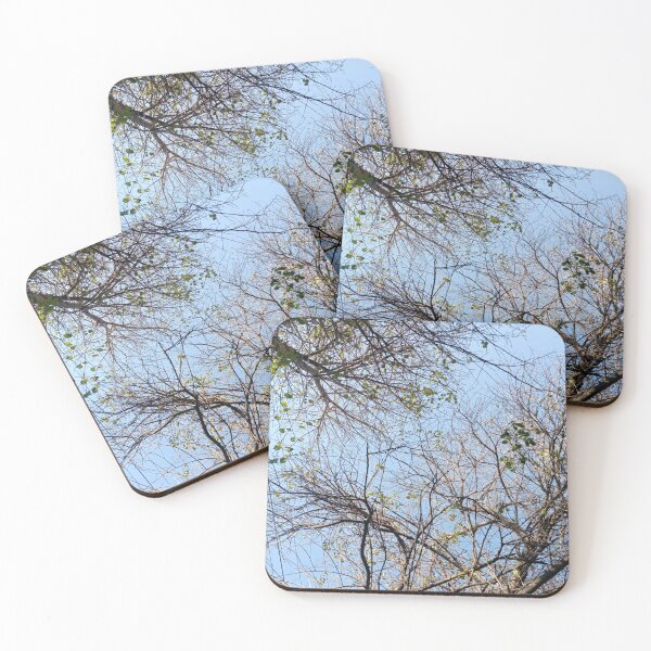 Item preview, Tree Branches In Clash designed and sold by basitcv.