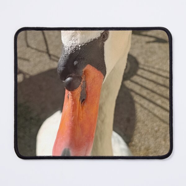 Item preview, The swan looks into the house. Classic t-shirt designed and sold by ArkadiuszG.