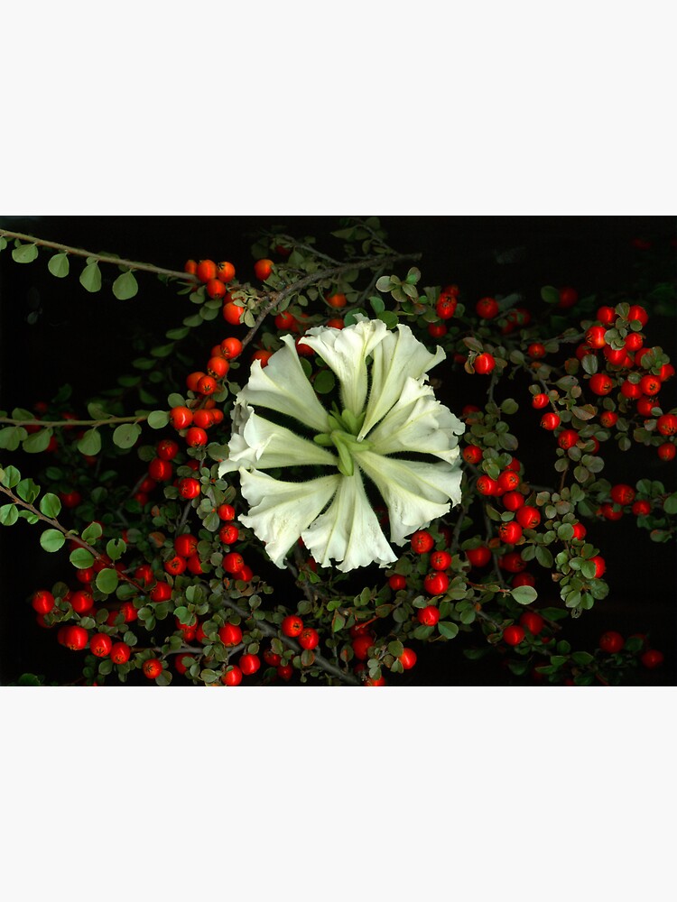 Thumbnail 3 of 3, Sticker, Petunia Wreath Dark Floral designed and sold by LindasPhotoArt.