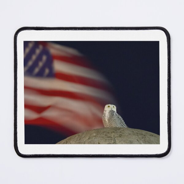 Item preview, Snowy Owl in Washington DC. designed and sold by Shannon Emmel .