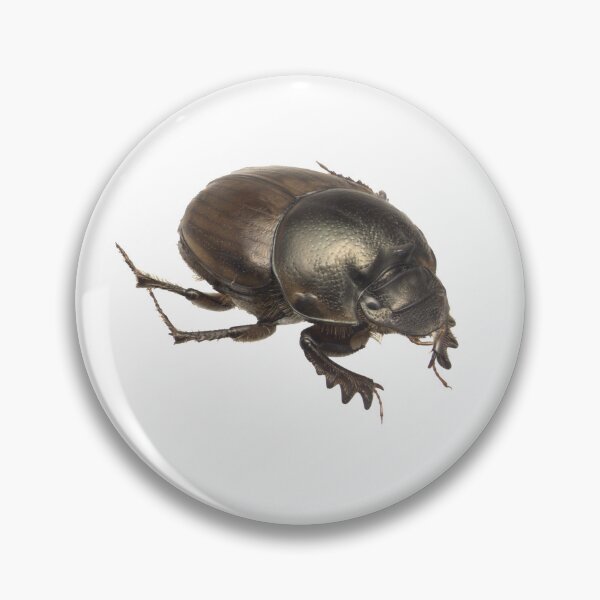 Item preview, Dung beetle - Digitonthophagu gazella female designed and sold by EricaNad.