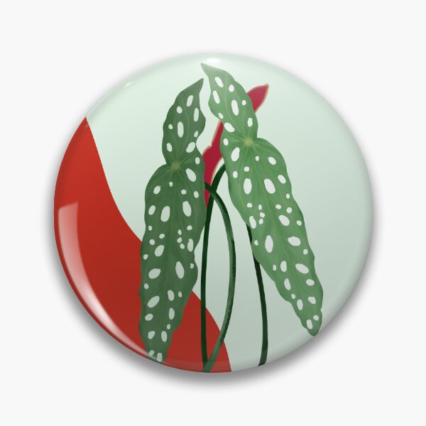 Item preview, Begonia Maculata - polka dot begonia designed and sold by LayIlustra.