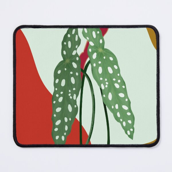 Item preview, Begonia Maculata - polka dot begonia designed and sold by LayIlustra.