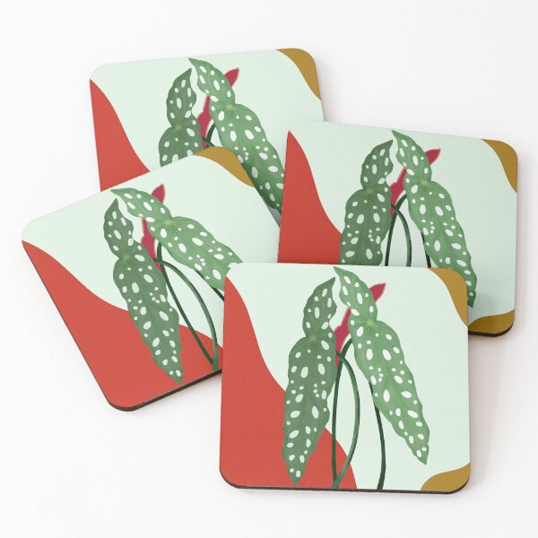 Item preview, Begonia Maculata - polka dot begonia designed and sold by LayIlustra.