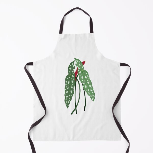 Item preview, Begonia Maculata - polka dot begonia designed and sold by LayIlustra.
