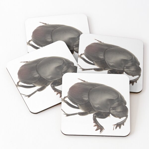 Item preview, Dung beetle - Onthophagus binodis female designed and sold by EricaNad.