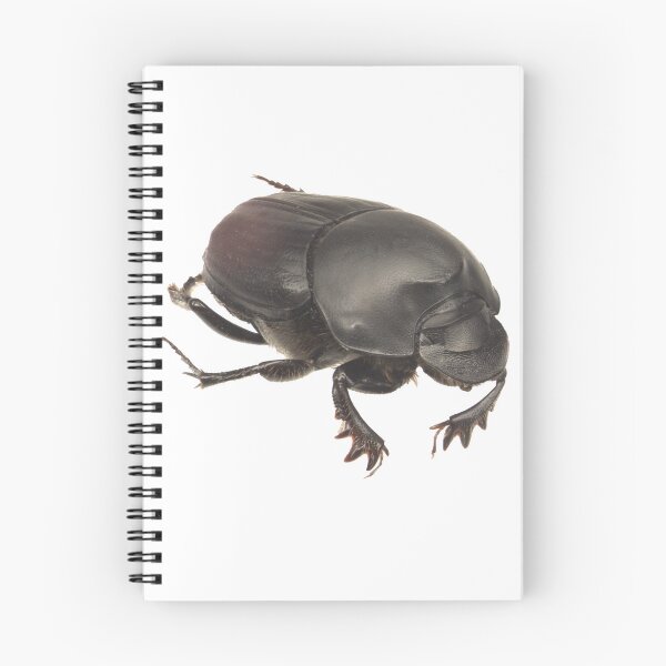 Item preview, Dung beetle - Onthophagus binodis female designed and sold by EricaNad.