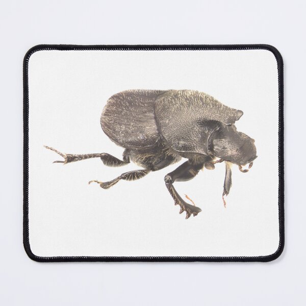Item preview, Dung beetle - Onthophagus hecate male designed and sold by EricaNad.
