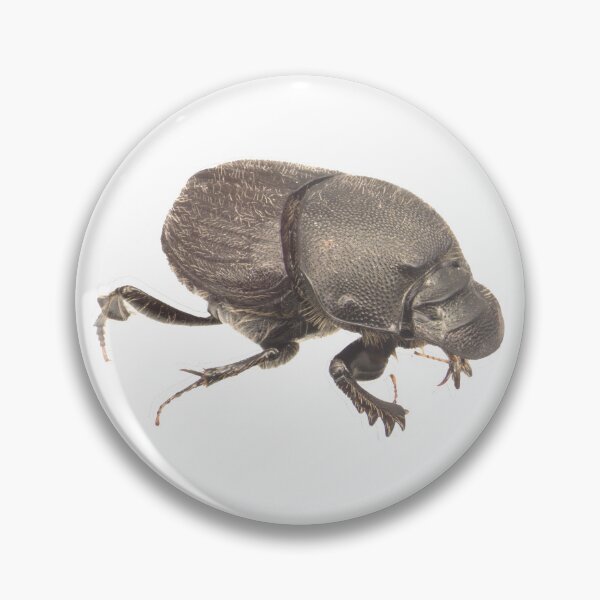 Item preview, Dung beetle - Onthophagus hecate female designed and sold by EricaNad.