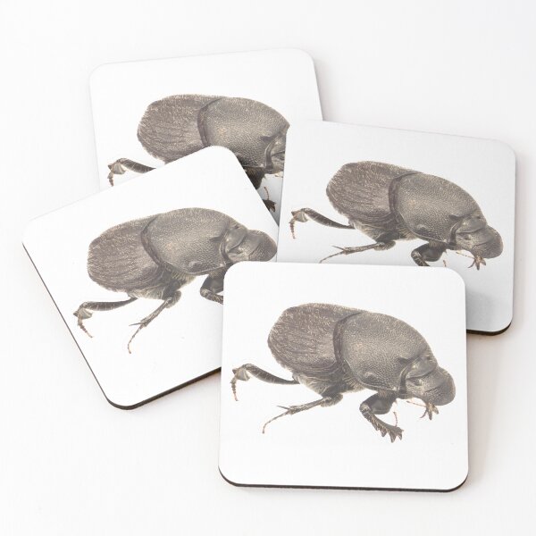 Item preview, Dung beetle - Onthophagus hecate female designed and sold by EricaNad.