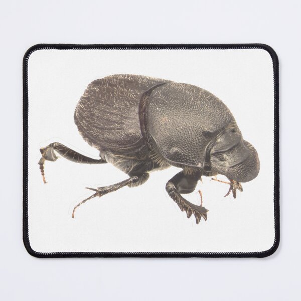 Item preview, Dung beetle - Onthophagus hecate female designed and sold by EricaNad.