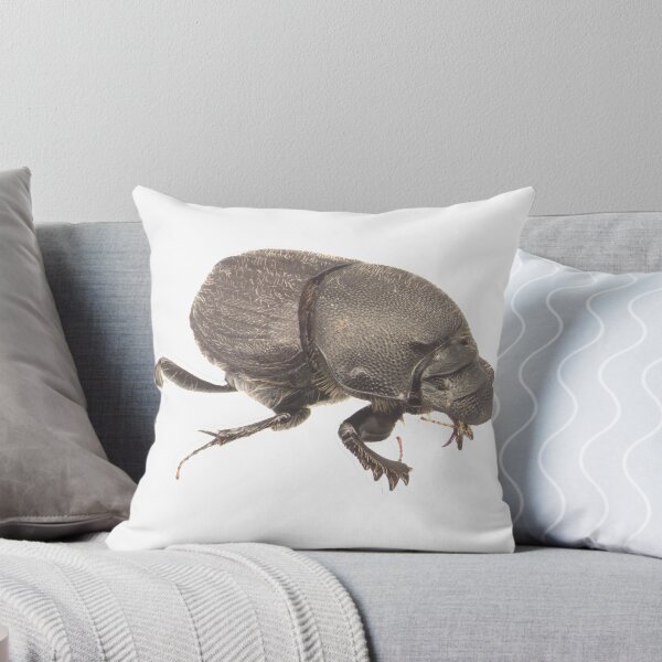 Item preview, Dung beetle - Onthophagus hecate female designed and sold by EricaNad.