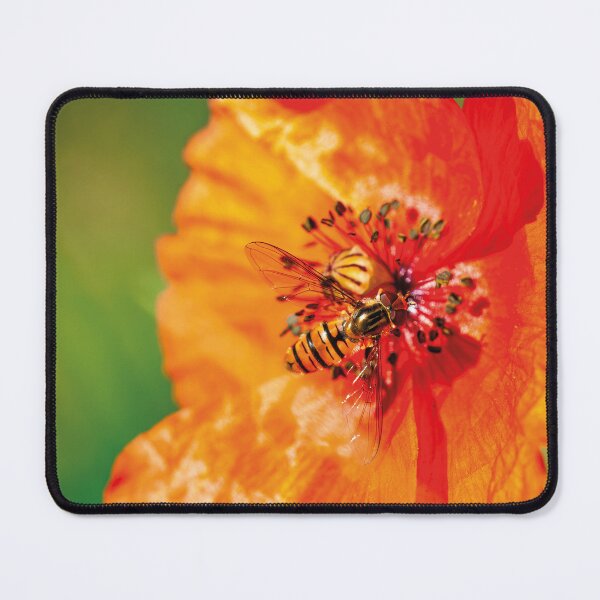 Item preview, Hoverfly on Poppy – Bright Macro Nature Photography designed and sold by 3 Hours of Silence.