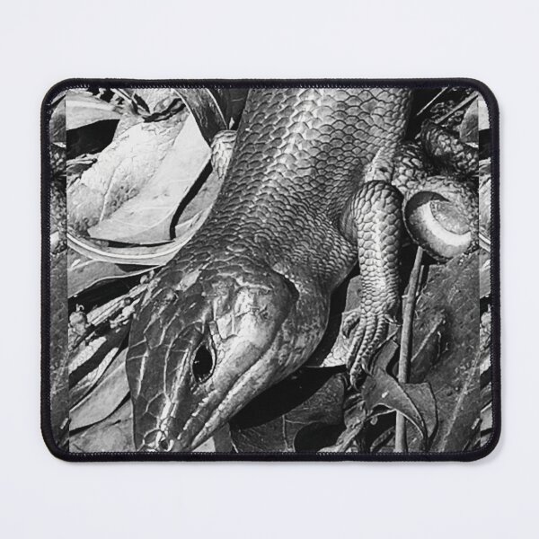 Item preview, B&W Copper Skink designed and sold by WikkedCreationz.