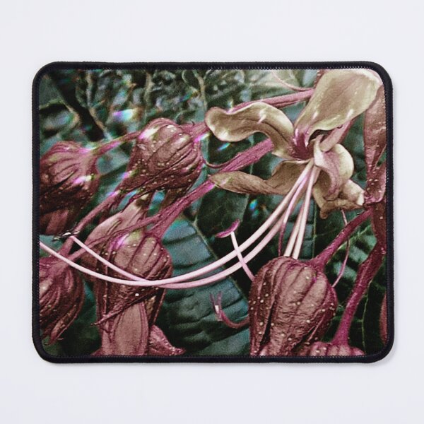 Item preview, Angelwing Begonia designed and sold by WikkedCreationz.