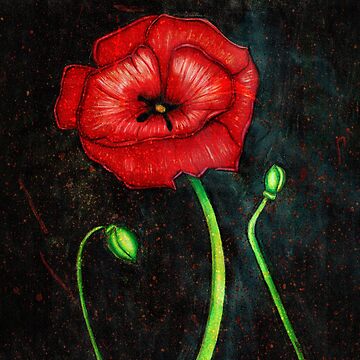 Artwork thumbnail, Scarlet Poppy Remembrance - Cosmic Memorial Art by Lauren Visual Arts