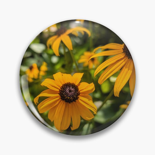 Item preview, Black Eyed Susans designed and sold by Kaleidoscopic Life.
