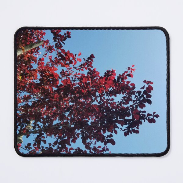 Item preview, Japanese Maple  designed and sold by AaronFritsch.
