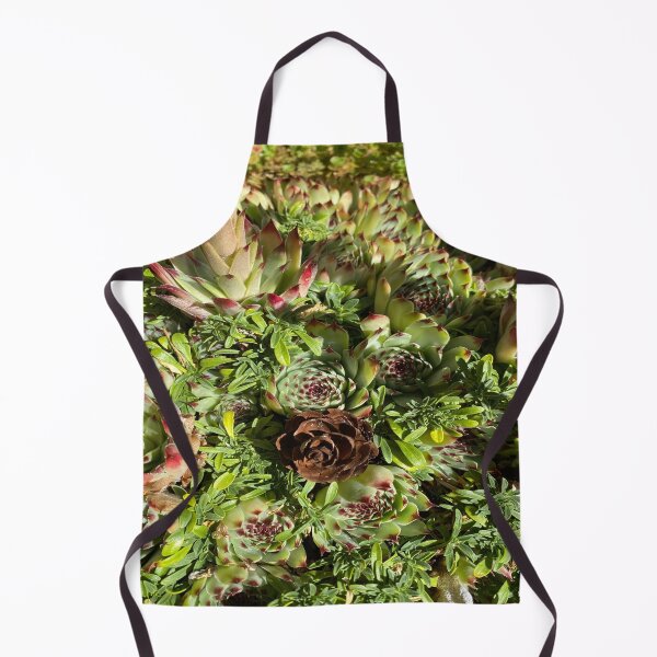 Item preview, Pine cone and succulents #2 designed and sold by LoveHeartRocks.