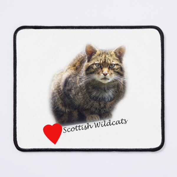 Item preview, Love Scottish Wildcats! designed and sold by JeanKellyPhoto.