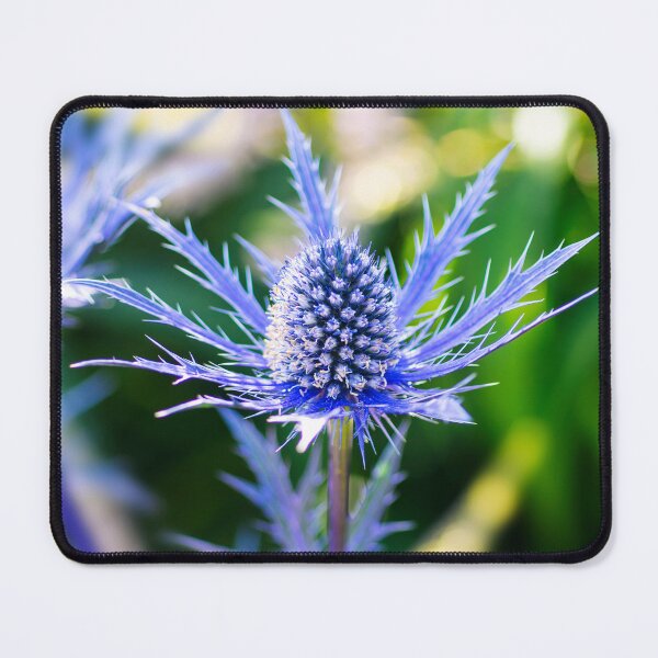 Item preview, Alpen Mannstreu designed and sold by JeanKellyPhoto.