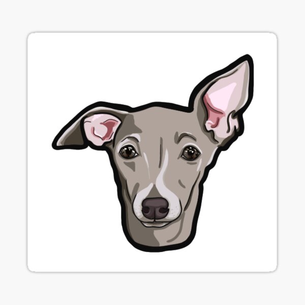 Item preview, Italian Greyhound designed and sold by AintDoinRite.