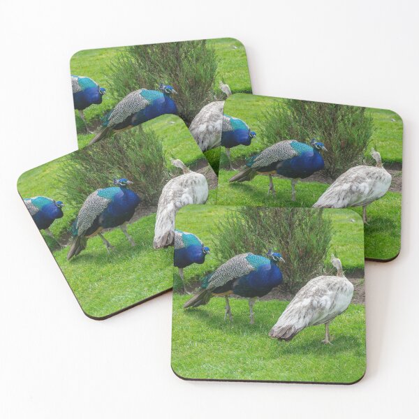 Item preview, A Little Birdie Told Me! designed and sold by JeanKellyPhoto.