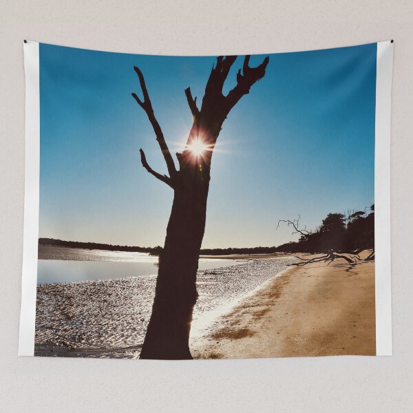 Item preview, Tree sunlight  designed and sold by Mark Grimsley.