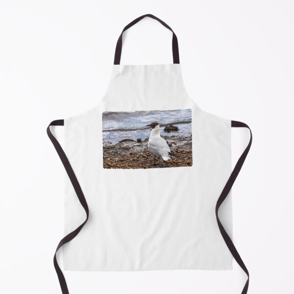 Item preview, Black-headed Gull designed and sold by JeanKellyPhoto.