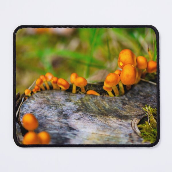 Item preview, Sulphur Tuft Landscape designed and sold by JeanKellyPhoto.
