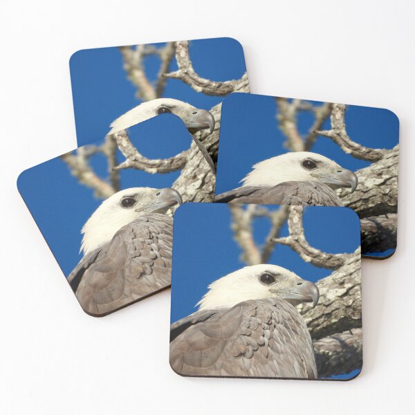 Item preview, White bellied sea eagle close up photo designed and sold by Mark Grimsley.