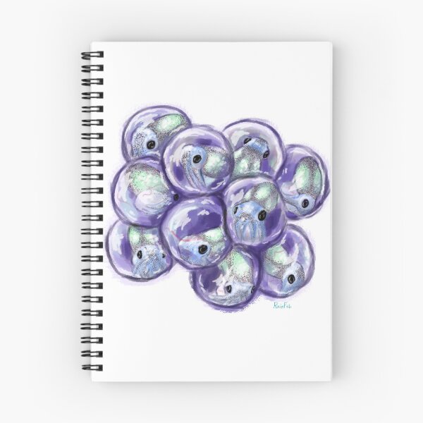 Item preview, Cuttlefish eggs designed and sold by RainFish.