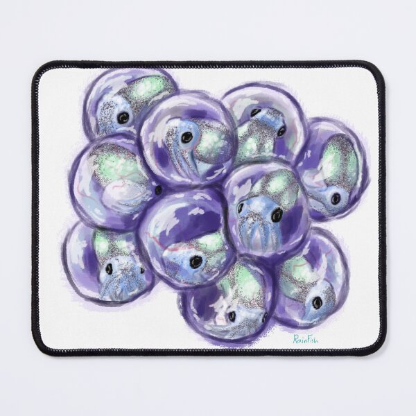 Item preview, Cuttlefish eggs designed and sold by RainFish.