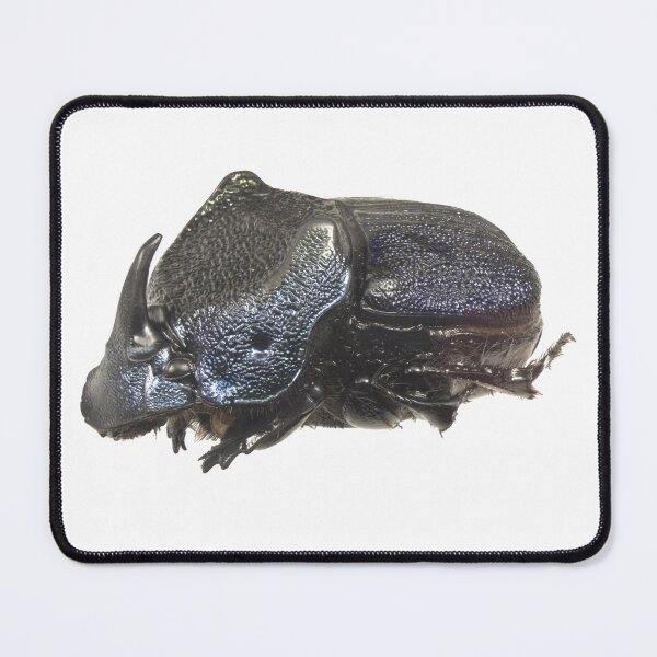 Item preview, Dung beetle - Phanaeus vindex blue morph designed and sold by EricaNad.