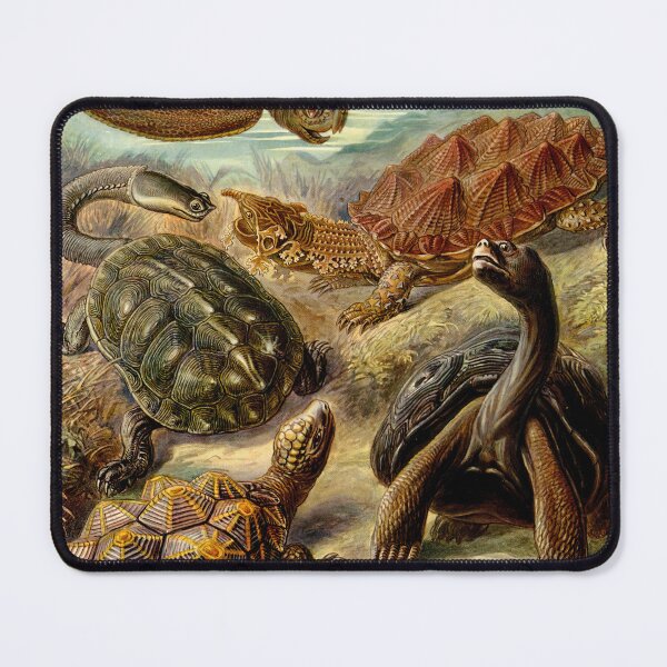 Item preview, The image is a scientific illustration by Ernst Haeckel Turtles designed and sold by tarotstarostina.