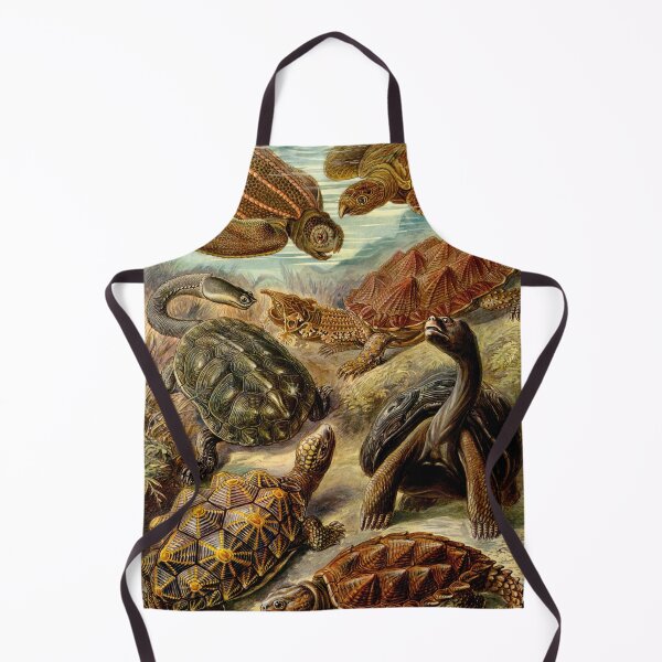 Item preview, The image is a scientific illustration by Ernst Haeckel Turtles  designed and sold by tarotstarostina.