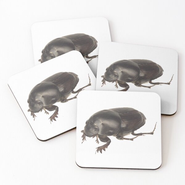 Item preview, Dung beetle - Onthophagus taurus female designed and sold by EricaNad.