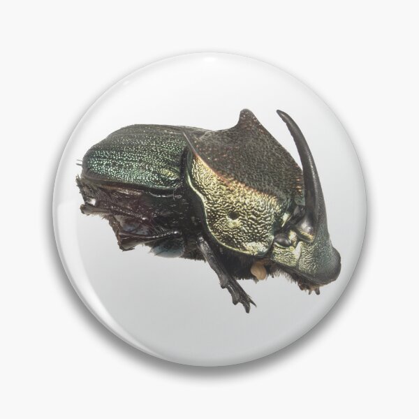 Item preview, Dung beetle - Phanaeus vindex male green morph designed and sold by EricaNad.