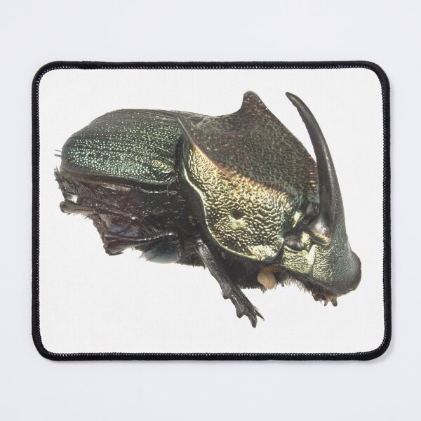 Item preview, Dung beetle - Phanaeus vindex male green morph designed and sold by EricaNad.