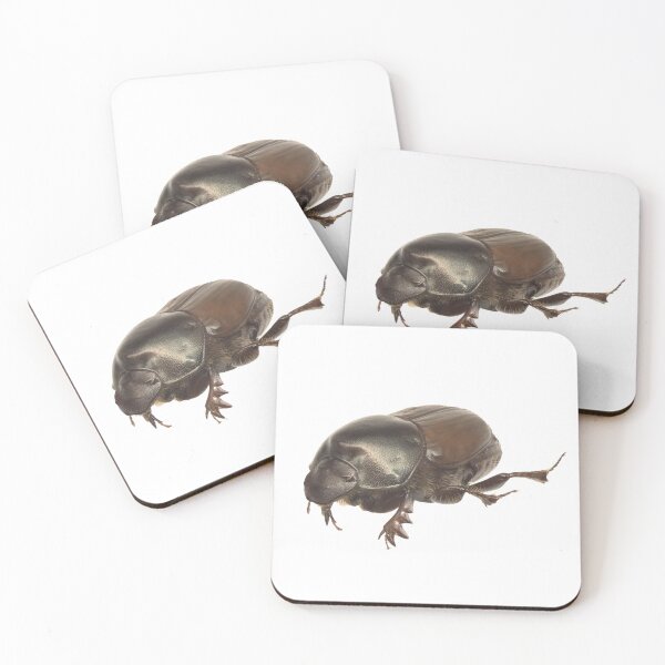 Item preview, Dung beetle - Onthophagus nigriventris female designed and sold by EricaNad.