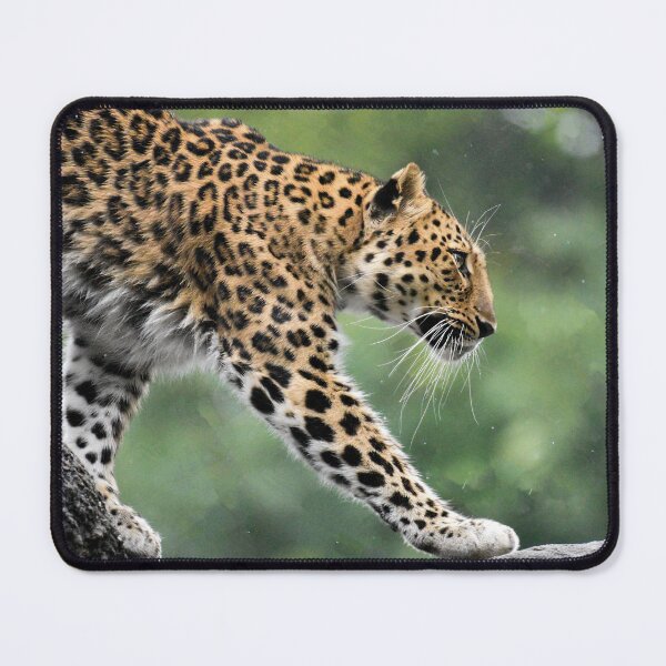 Item preview, Amur Leppard designed and sold by Kekira.