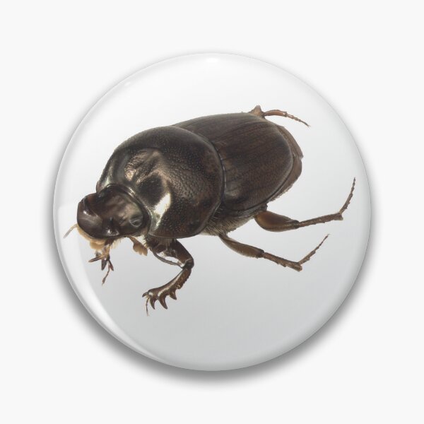 Item preview, Dung beetle - Onthophagus sagittarius male designed and sold by EricaNad.
