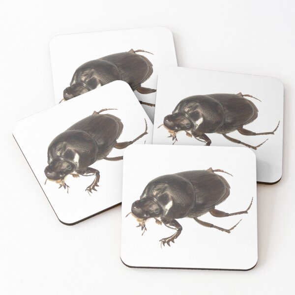 Item preview, Dung beetle - Onthophagus sagittarius male designed and sold by EricaNad.