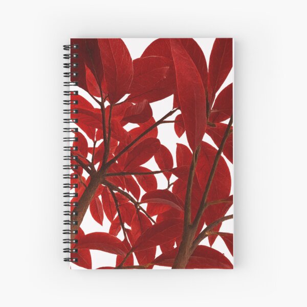 Item preview, Stylized red autumn foliage design on transparent background designed and sold by optimusprime39.