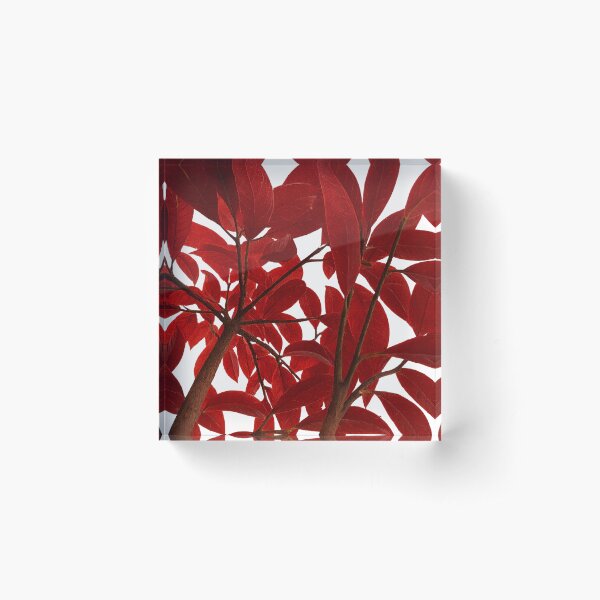 Item preview, Stylized red autumn foliage design on transparent background designed and sold by optimusprime39.