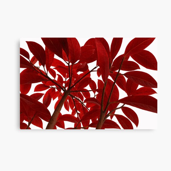 Item preview, Stylized red autumn foliage design on transparent background designed and sold by optimusprime39.